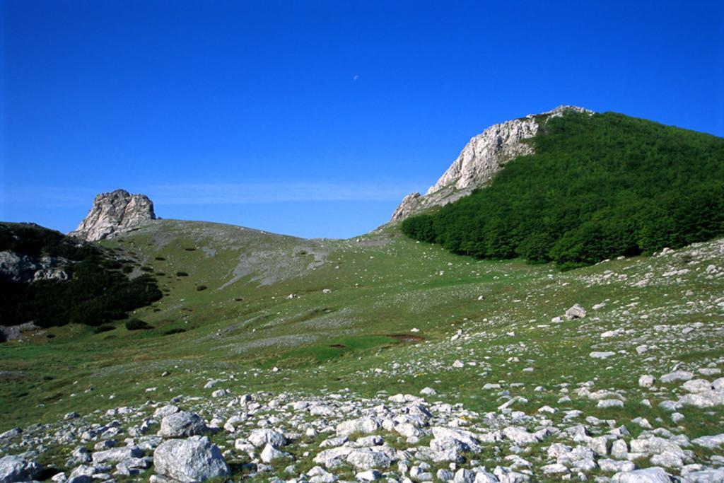 Apartments And Rooms Degenija Starigrad Paklenica Esterno foto